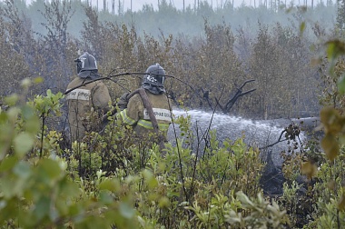 Дым без огня. Как выглядит лесной пожар под Рязанью спустя неделю 