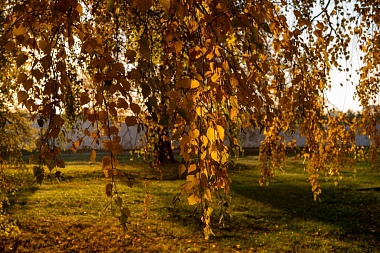 Рязанская епархия показала фотографии митрополита Марка - 62ИНФО Рязанская епархия показала фотографии митрополита Марка