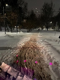 Мэрия Рязани отчиталась об уборке города в ночь на 9 января