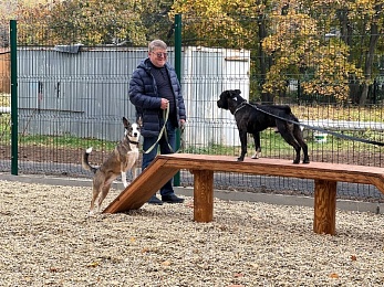 В Рязани открыли площадку для выгула собак в парке Гагарина