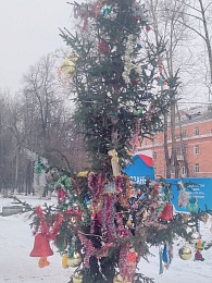 В Рязани елка на Белякова потрясла эстетов и не только