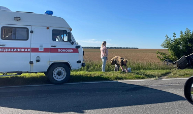 В Пронском районе два внедорожника попали в ДТП