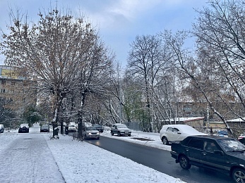 Рязанцы делятся фото первого снегопада в городе и в лесу