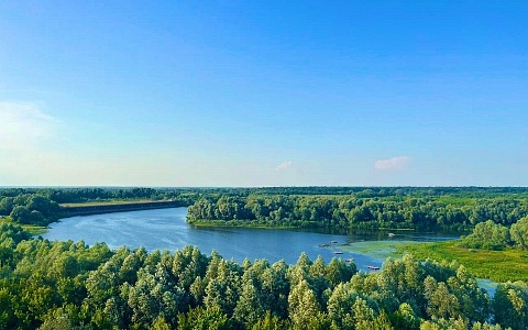 В Рязанской области 22 мая жару в +33°С дополнят дожди