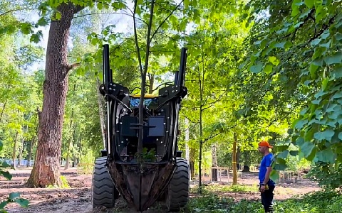 В ЦПКиО высаживают черёмуху, сосны и ели