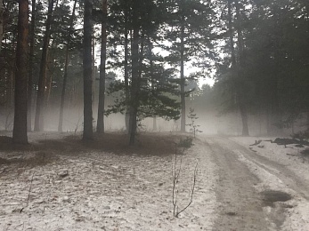 Рязанцы делятся фото первого снегопада в городе и в лесу