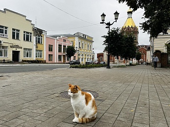 Провожаем лето: красивые фото Рязанской области с настроением отпуска