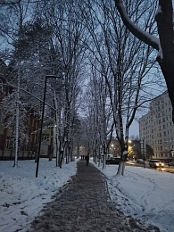 Рязанцы делятся фото первого снегопада в городе и в лесу