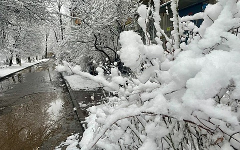 Большой потоп: рязанцев ждут мощные февральские дожди