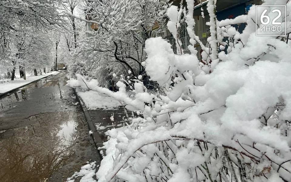 Большой потоп: рязанцев ждут мощные февральские дожди - 62ИНФО