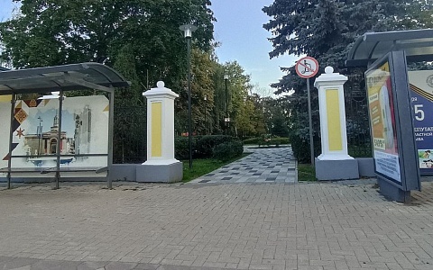 Рязанские урбанисты раскритиковали проект надземного перехода через улицу Ленина