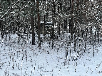 В рязанском лесу сфотографировали заброшки и лестницу в никуда - 62ИНФО В рязанском лесу сфотографировали заброшки и лестницу в никуда