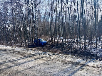 У Шилова 2 пассажира Suzuki пострадали в ДТП с Kia Rio на трассе М-5