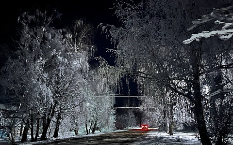 В Рязанской области 25 февраля пойдет снег в 8 районах и потеплеет до +1°С