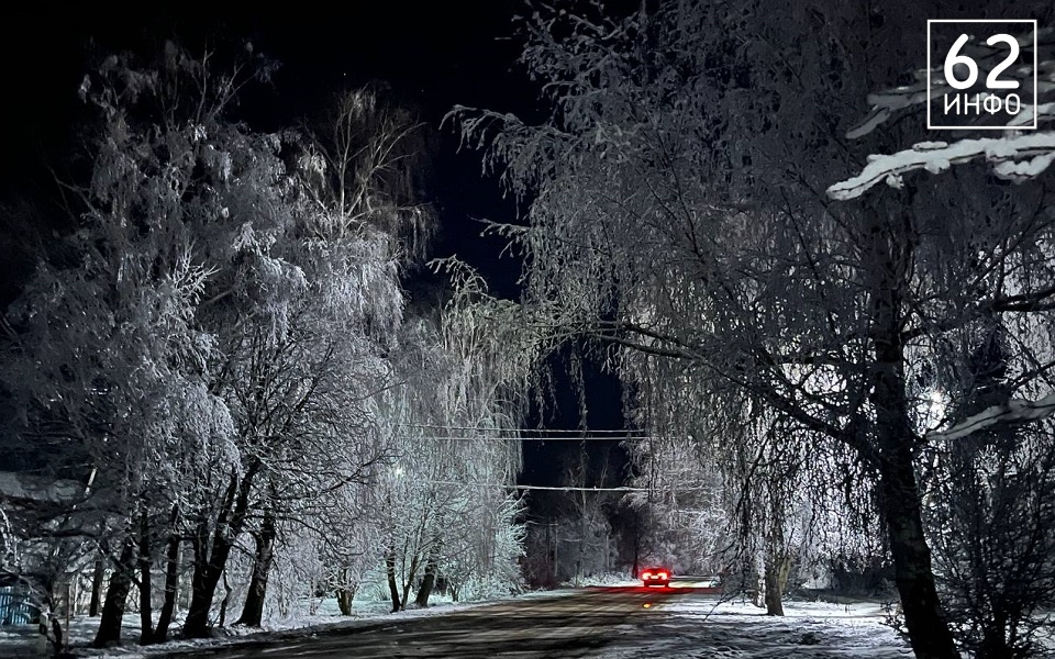 В Рязанской области 25 февраля пойдет снег в 8 районах и потеплеет до +1°С - 62ИНФО