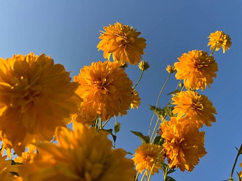 Провожаем лето: красивые фото Рязанской области с настроением отпуска