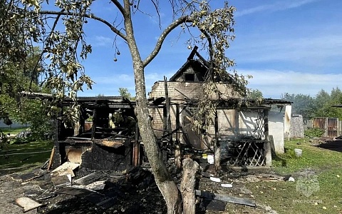 В Рязанской области горели дачные дома и квартира