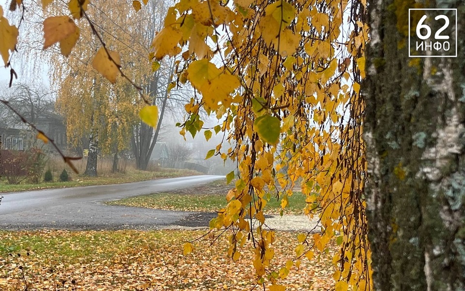 Циклон "Хеннинг" обрушит ненастье на Рязанскую область - 62ИНФО