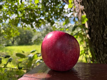Провожаем лето: красивые фото Рязанской области с настроением отпуска
