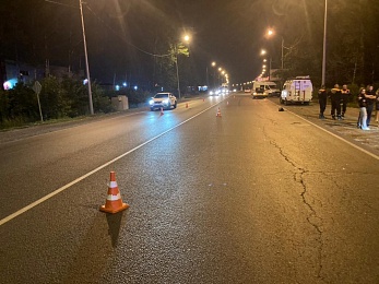 В Рязани на трассе М5 насмерть сбили 33-летнего мужчину