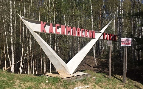 В Касимовском округе отменили карантин по лейкозу крупного рогатого скота