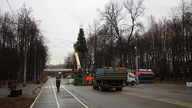 В Рязани начали украшать новогодние ели - 62ИНФО В Рязани начали украшать новогодние ели