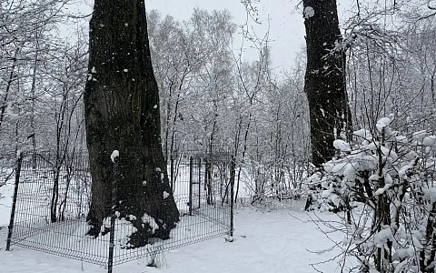 В Рязани продолжается благоустройство ЦПКиО