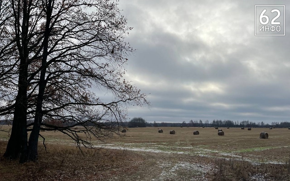 8 из 12 по шкале Бофорта: штормовой ветер грозит ломать деревья и рвать провода  - 62ИНФО 8 из 12 по шкале Бофорта: штормовой ветер грозит ломать деревья и рвать провода  - 62ИНФО