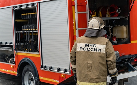 В МЧС рассказали подробности крупного пожара у Лесопарка