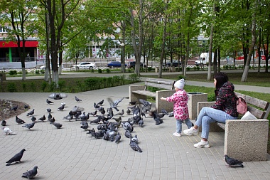 Павел Малков посетил Пронский район и Рязанскую ГРЭС