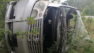 Шесть человек пострадали при опрокидывании минивэна в Путятинском районе