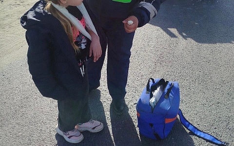 В Кораблинском районе инспекторы ДПС оказали первую медпомощь ребёнку