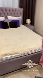 В Нижнем Новгороде арестовали подозреваемого в организации сети порностудий