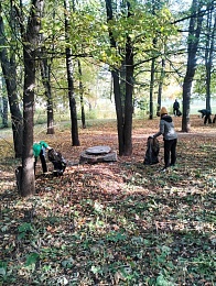 Более 200 рязанцев вышли на первый осенний субботник - 62ИНФО Более 200 рязанцев вышли на первый осенний субботник