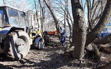 В Рязани прошёл первый городской субботник