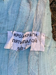 Два грузовика производственных отходов вывалили в поле под Спасском