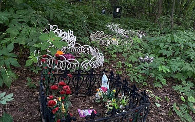 Кладбища домашних животных: где в Рязани хоронят кошек и собак