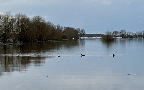 В Рязанской области вода после половодья не сошла с двух дорог
