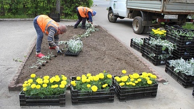 В Рязани начали высаживать цветы для надписи «Я люблю Рязань»