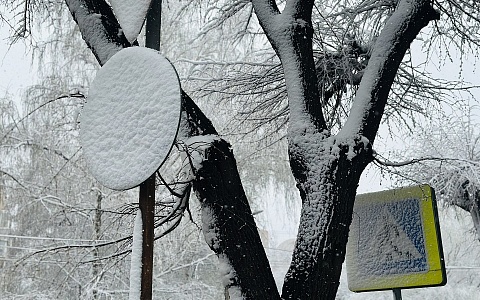 В 7 районах Рязанской области вновь ждут снегопада