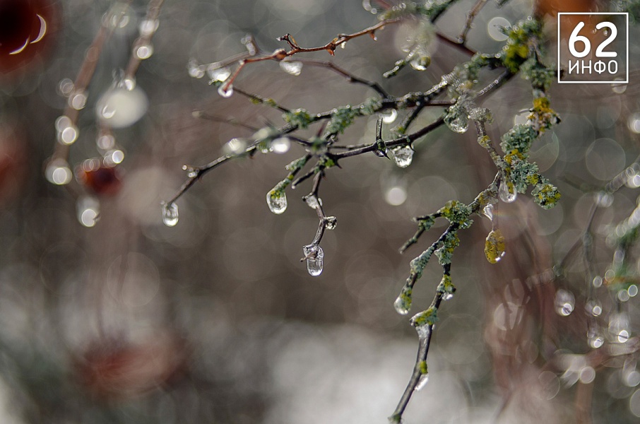 В Рязанской области 28 января будет туман, гололед и -10 - 62ИНФО