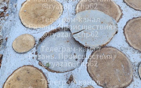 Рязанцы пожаловались на состояние ещё не открытой экотропы Рязанцы пожаловались на состояние ещё не открытой экотропы