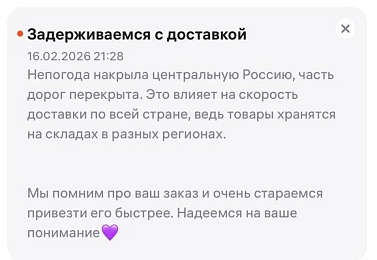 Wildberries предупредил рязанцев о задержке доставки