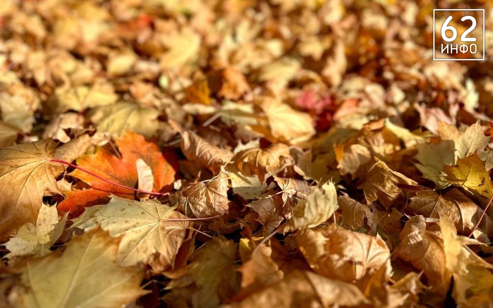 Рязанцам пообещали отсутствие снега в октябре - 62ИНФО