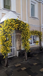 Все желтое: в Касимов пришла весна