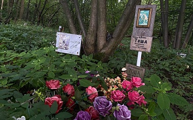 Кладбища домашних животных: где в Рязани хоронят кошек и собак