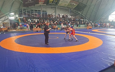 Рязань принимает Всероссийские соревнования по греко-римской борьбе среди юношей - 62ИНФО Рязань принимает Всероссийские соревнования по греко-римской борьбе среди юношей