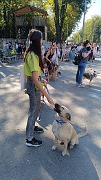 В Рязани состоялась выставка бездомных животных