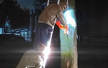 Логово жаливших рязанцев шершней уничтожили хитрым способом