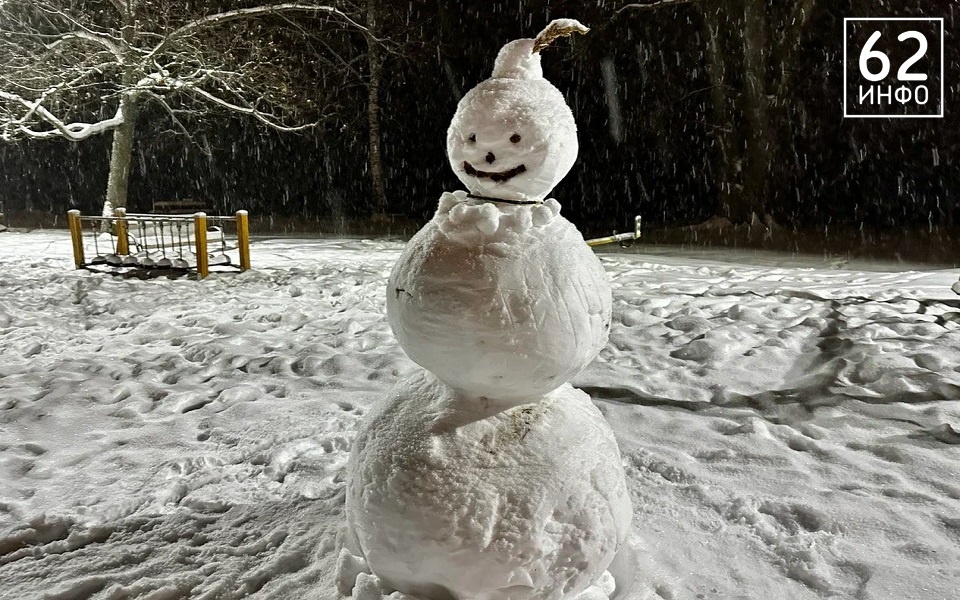 Циклон с обложным снегопадом накрыл Рязанскую область - 62ИНФО